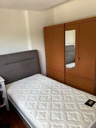 Blk 352 Clementi Avenue 2 Shopping Centre (Clementi), HDB 3 Rooms #523552601